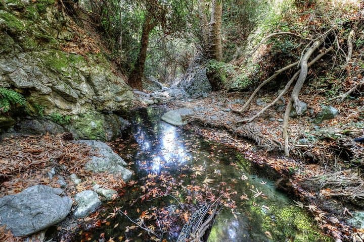 ספארי ג'יפים טרודוס מפרוטריס, אגיה נאפה ולרנקה.