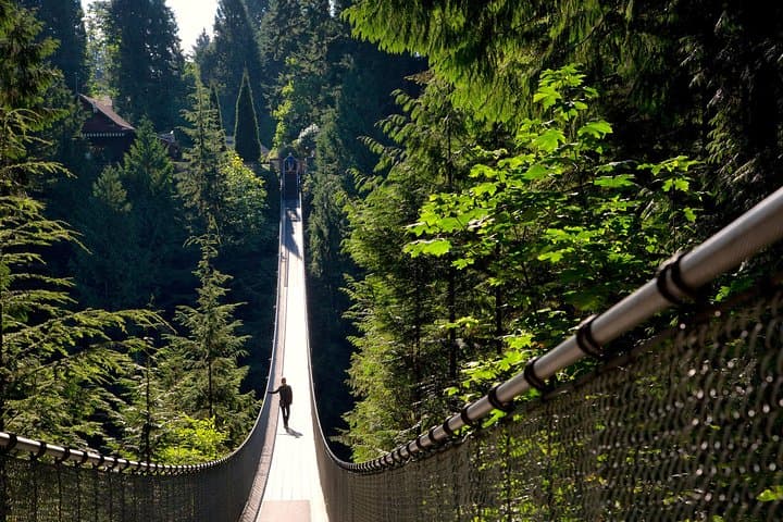 Vancouver Tour: Stanley Park, Granville Island & Capilano Bridge
