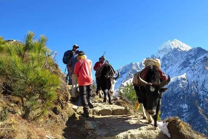14 Days Everest Base Camp Trek from Kathmandu (All Inclusive)
