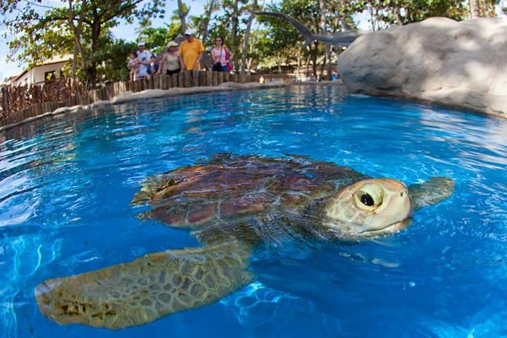 פלוריפה טוטאל - משאירים את פלוריאנופוליס עם איתאגואסול טורס