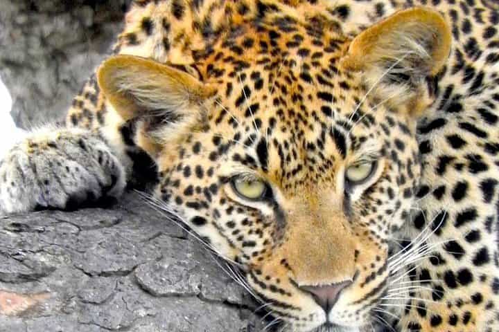 10-Day South Africa Tour: Johannesburg & Cape Town