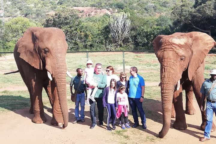 Elephant Walk Guided Tour from Johannesburg
