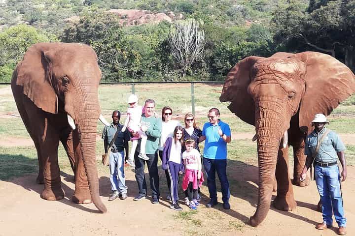 Elephant Walk Guided Tour from Johannesburg