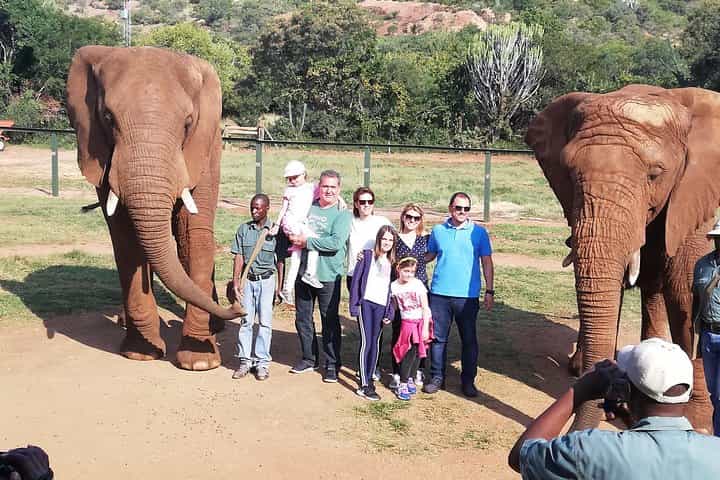 Elephant Walk Guided Tour from Johannesburg