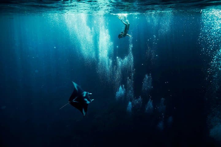 סיור סדנת גילוי שוניות חצי יומי לקבוצה