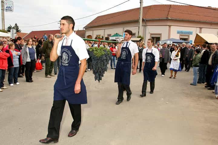 Winetaste in Villany, and visiting Pécs, on a private tour