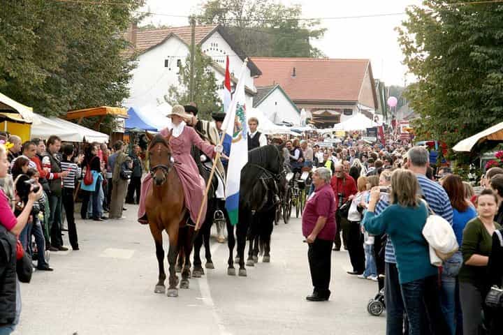 Winetaste in Villany, and visiting Pécs, on a private tour
