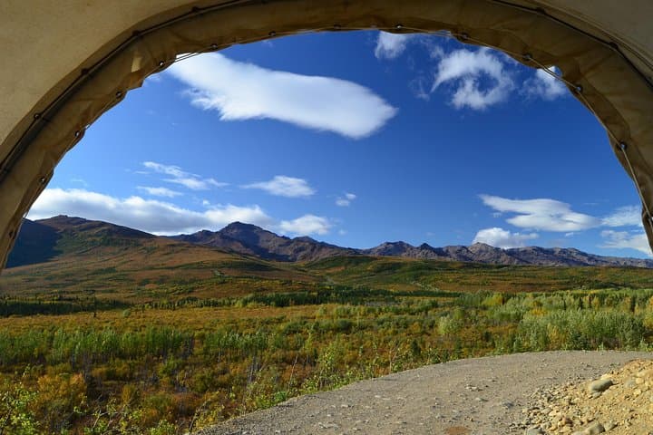 רכיבה בעגלה מכוסה רתומה לסוס עם מסעדה באזורים הפנימיים