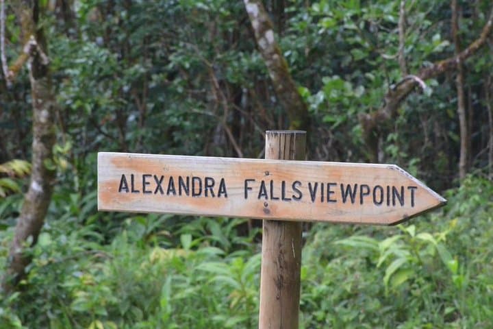 Enchanting South West - Full Day Tour with CASELA Park and Lunch