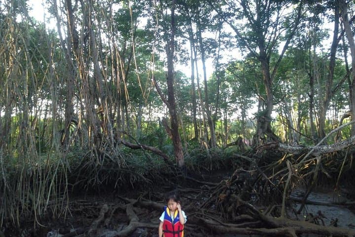 Proboscis Monkey, Water Village & Bandar by Night Private Tour