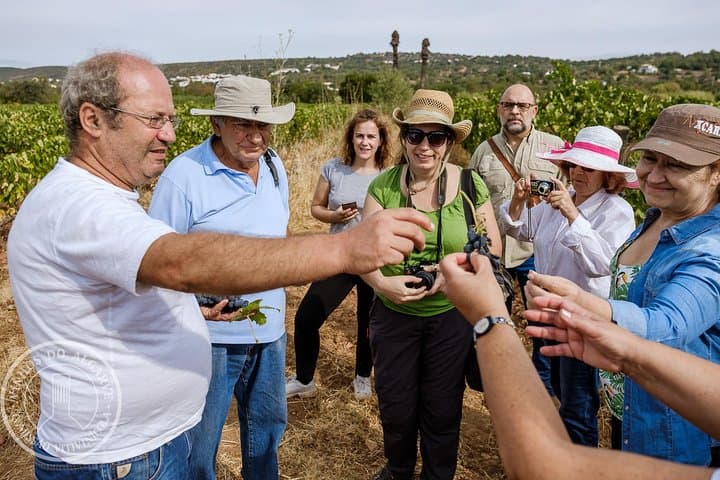 סיור וטעימת יין - טעמים אותנטיים של אלגרבה עם קווינטה דא טור