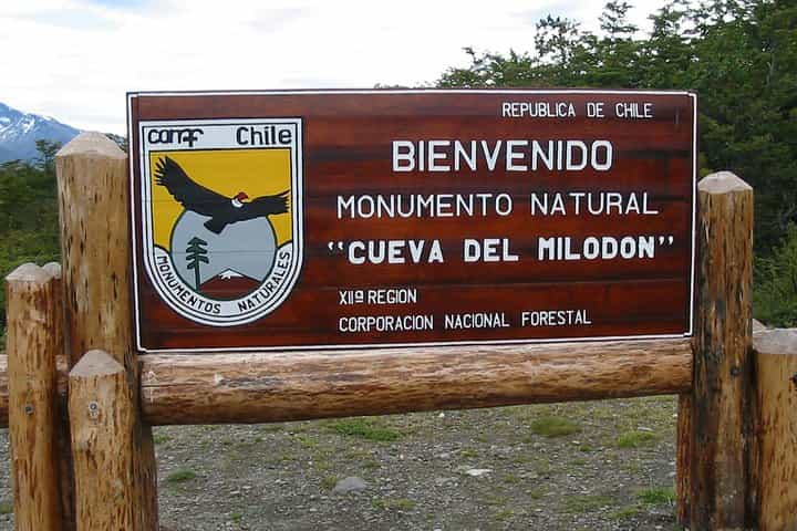 פוארטו נטאלס: טיול יום מלא בטורס דל פינה