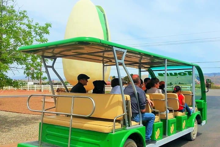 סיור בחוות פיסטצ'יו לאנד