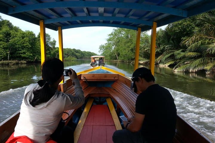Proboscis Monkey Private Tour