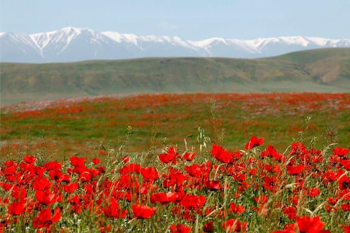 טיול רגלי בשמורת אקסו-ז'באגלי (2 ימים)