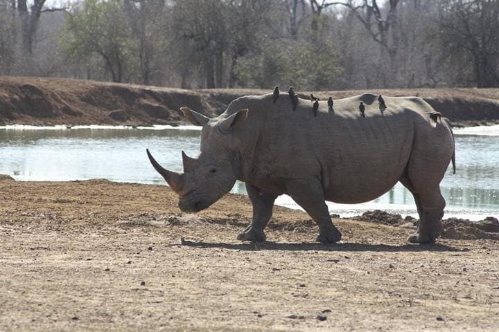 סיור יום מלא בפארק הלאן רויאל הלאומי ממנזיני