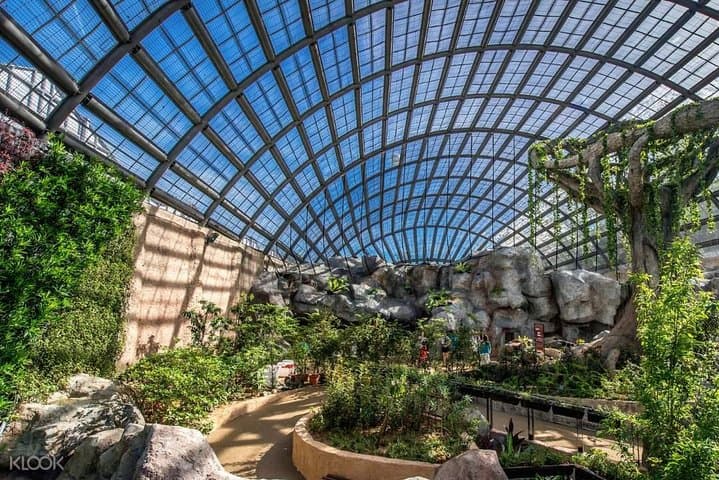 טיול סביב פנאנג עם גן התבלינים הטרופי וחוות הפרפרים אנטופיה