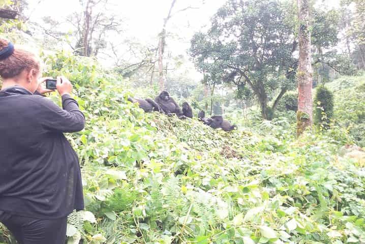 Rwanda Gorillas Adventure 5Days/4Nights ( Comfort)