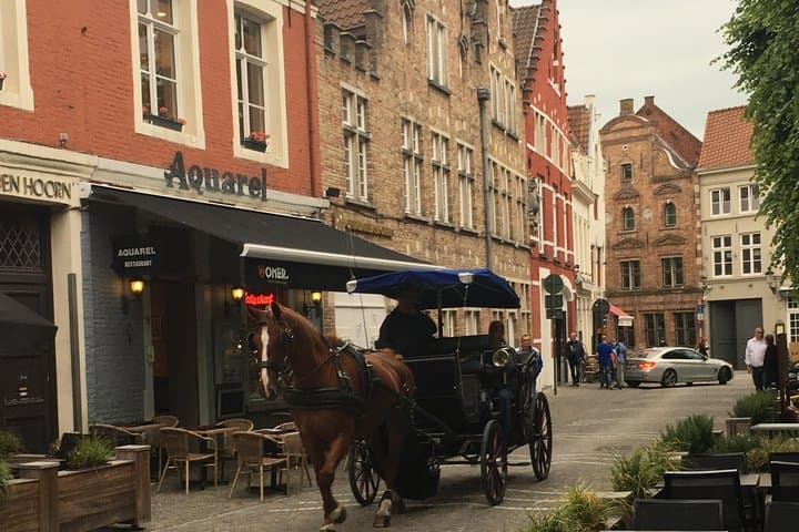 שירות שאטלים הלוך ושוב מזברוגה לאמרשון