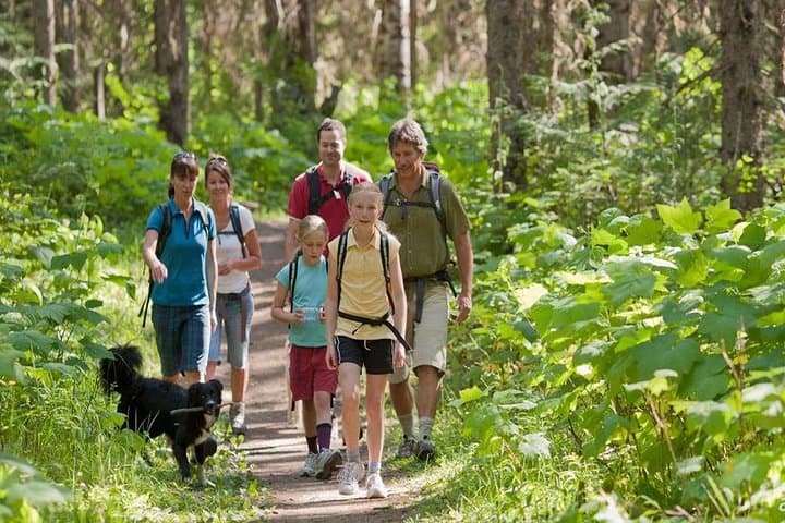 סיור בסירה בפארק הלאומי לוס הייטיס + טיול רגלי של שעתיים ביער הגשם
