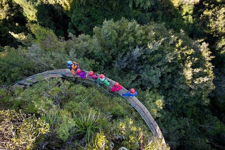 Rotorua’s Ultimate Zipline: 6 ziplines, 400 m Tandem, Cliff Walk