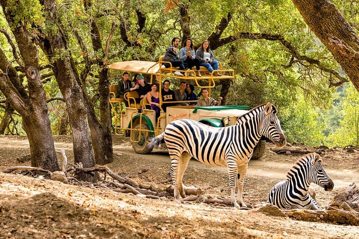 Safari West Sonoma Adventure Tour