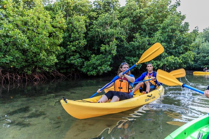 Bio Bay Night Kayaking with Transport from San Juan Area