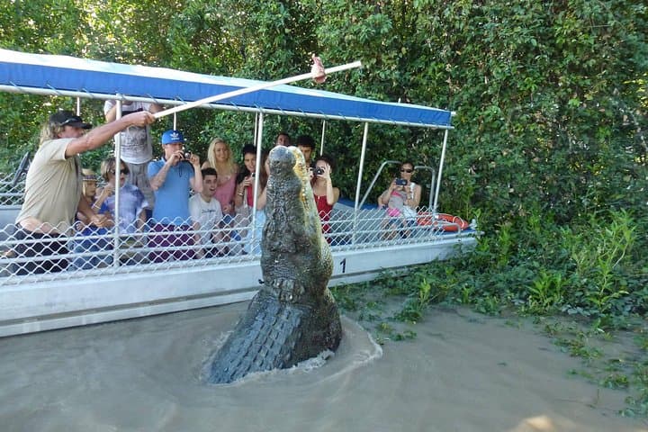 שיט נהר אדלייד - חווית התנינים הקופצים