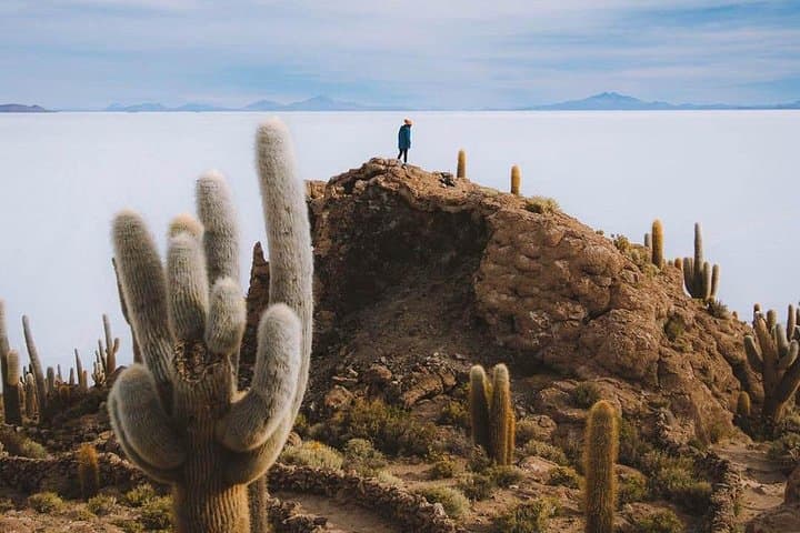 Deluxe & Private Salar de Uyuni 1 day tour