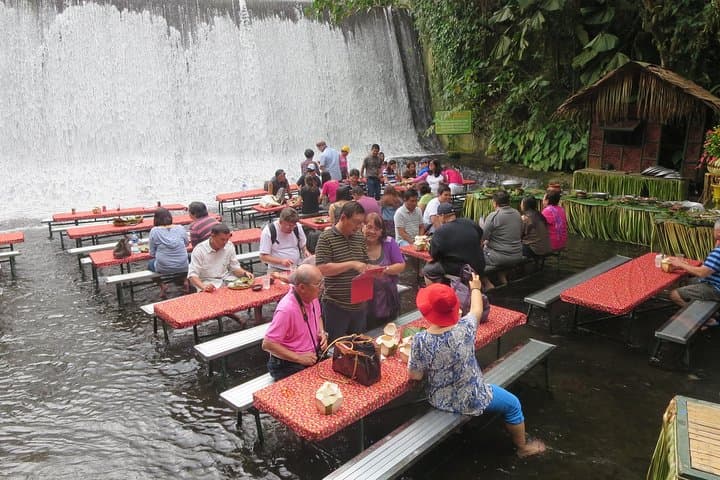 טבעו בתרבות: חווית מטע הקוקוס של וילה אסקוודרו