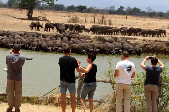 5 ימי ספארי הרפתקאות ניירר על הכביש ומיקומי