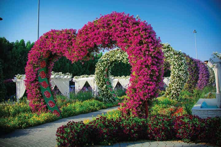 Miracle Flora & Fauna Marvels at Miracle Garden
