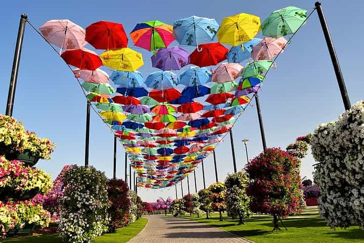 Miracle Flora & Fauna Marvels at Miracle Garden