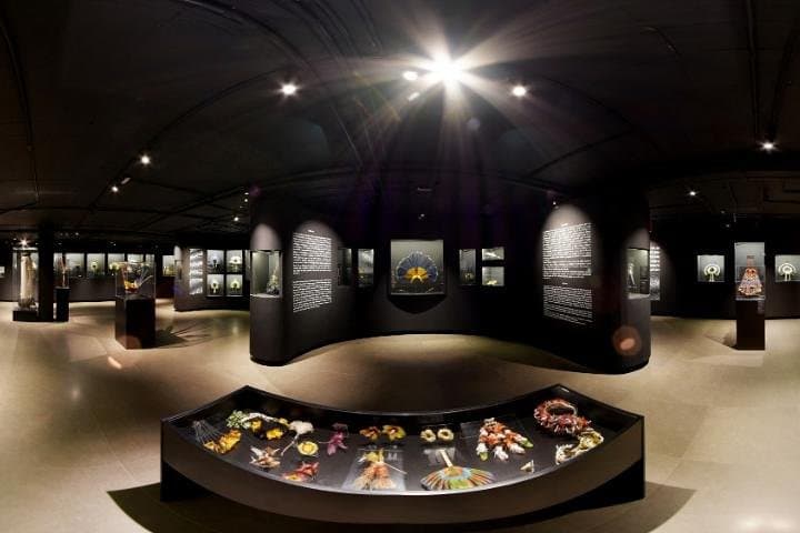 כרטיס למוזיאון MAI - מוזיאון האמנות האינדיגנית - קוריטיבה