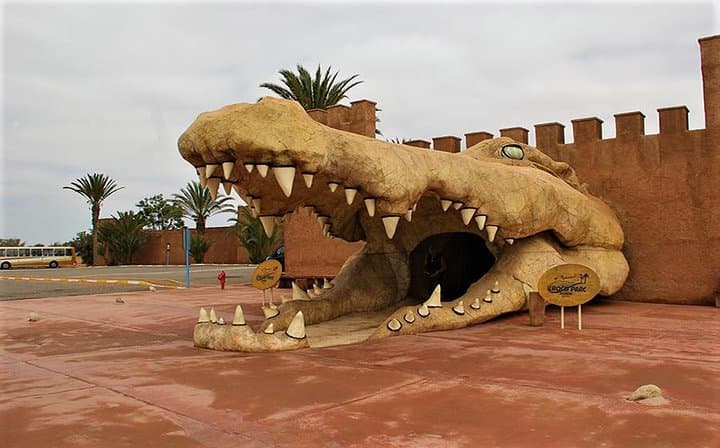שירות כרטיסים והסעות לקרוקופארק אגאדיר ללא מאמץ