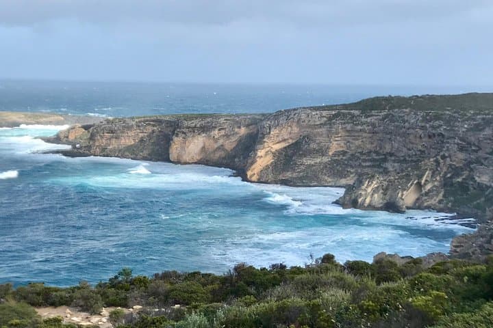 Kangaroo Island Small‑Group Scenic & Wildlife Day Tour