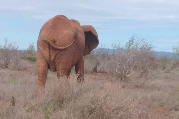 7 days safari Kenya Discovery