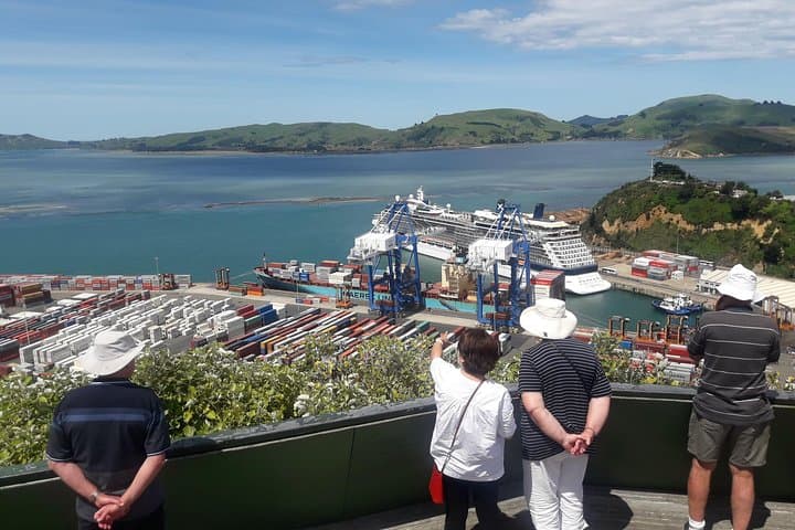 Dunedin Nature & City Tour – Full Day Cruise Excursion