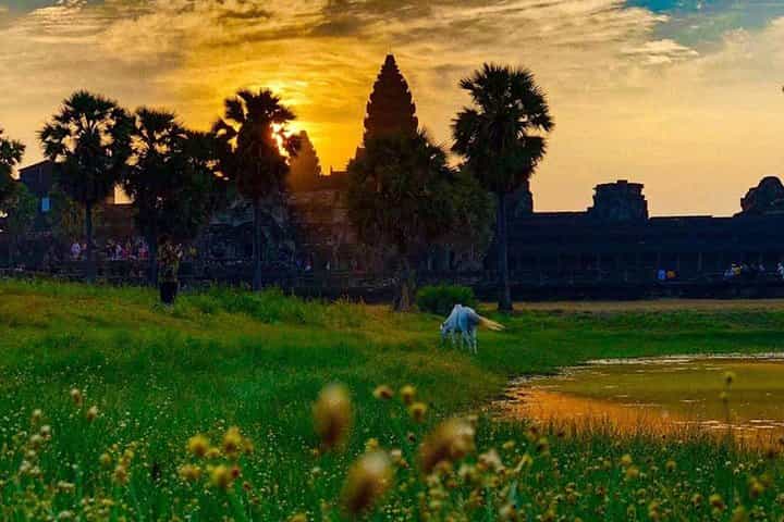 Siem Reap and Phnom Penh 7-Day Tour