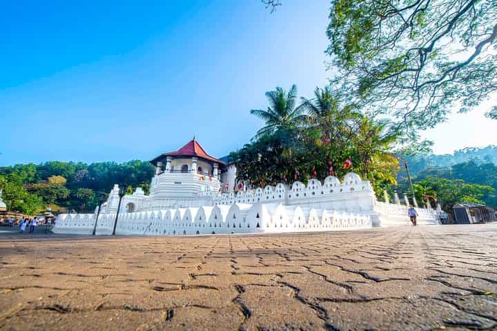 Kandy Day Tour from Colombo / Negombo