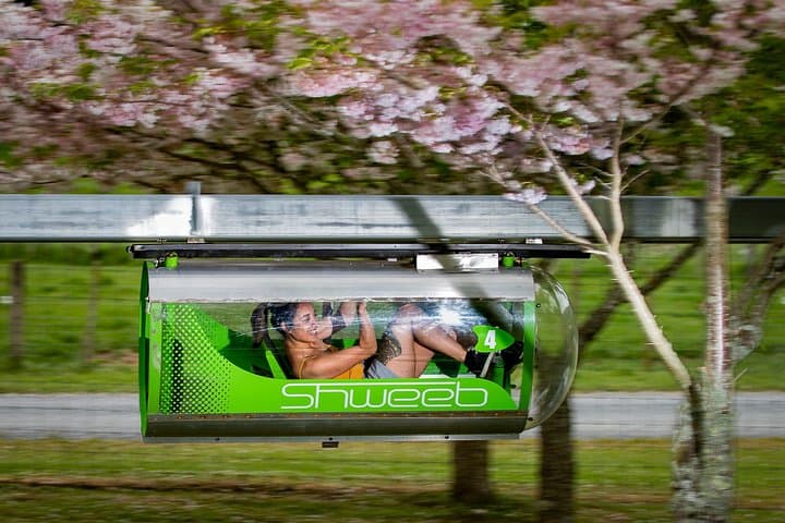 עמק וולוסיטי רוטורואה