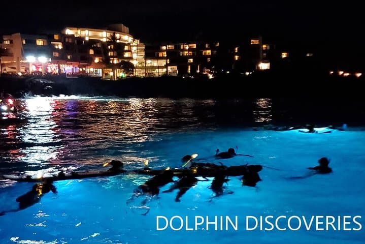 סנרקל בלילה עם מניטות בקונה, האי הגדול