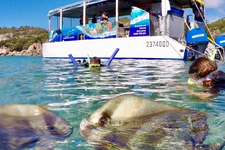 Magnetic Island Discovery Tour with Snorkeling & Paddle Boarding