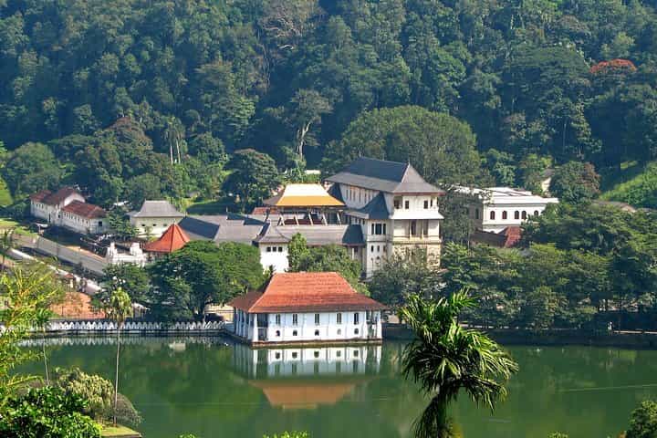 Kandy Day Tour from Colombo / Negombo
