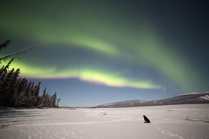 אורות צפוניים