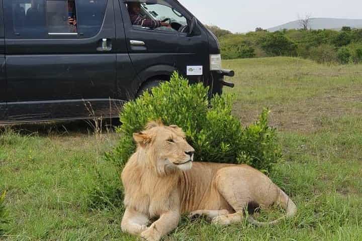 חופשת ספארי הרפתקאות משולבת קניה וטנזניה במשך 8 ימים