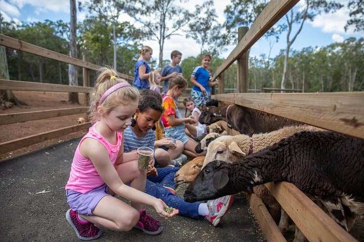 כרטיס כניסה ליום