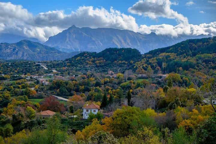 כפרי קטסנוכוריה