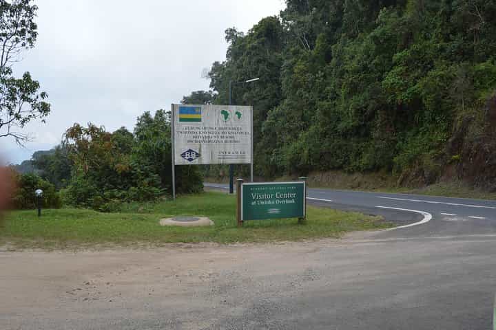 מעקב אחרי שימפנזים במשך 2 ימים וטיול על קו העצים בניונגווה