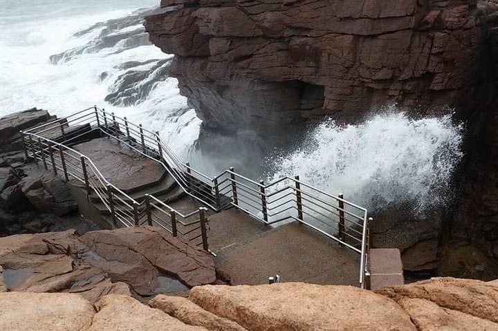 סיור אוטובוס מלווה פרימיום של באר הארבור ופארק אקדיה (3.5 שעות)